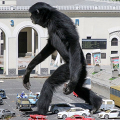 leg_lawk dot em pee three