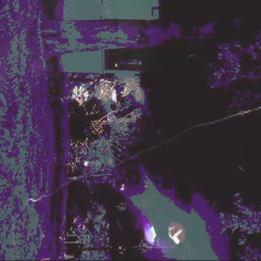 infinite ants on a finite tree