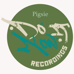 Do It Now Recordings Stereo 006 Mixed By Pigsie