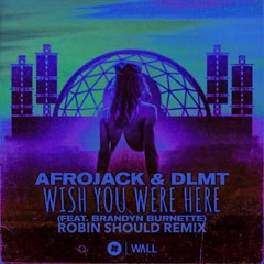 Wish You Were Here (Robin Should Remix) - AFROJACK & DLMT Feat. Brandyn Burnette