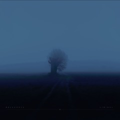liminal