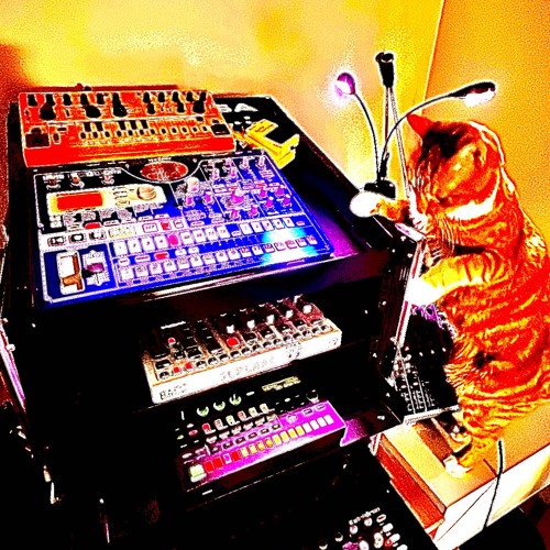 Acid Kitty (part of live set) - (Free DL) -