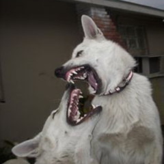 I don’t think you’d even care (prod.dotbeats)