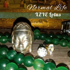 normal life - XZYE Lotus
