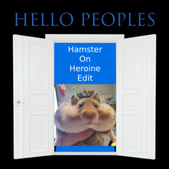 SuperSexyMan - SOUND OF THE ZAAGKICK (Hamster On Heroine Edit)