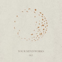 your Mind works - 065: organic Downbeat