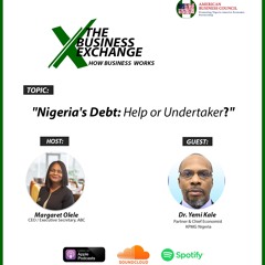 Nigeria's Debt - Help Or Undertaker?