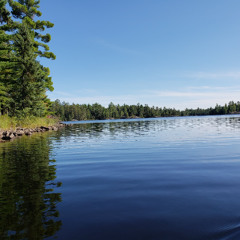 Into My Arms - (Nick Cave and the Bad Seeds)