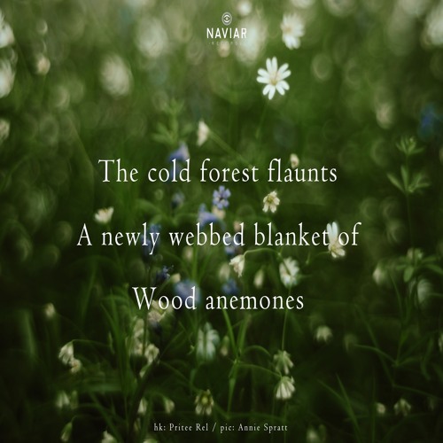 halF flaunT [naviarhaiku490]