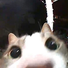 Instant Cytron  - Summertime in the Place