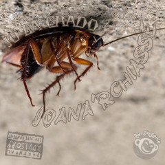 LA VIDA DE LA LIBERTA - Prod. By CAPSIZED