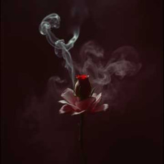 Kindness is the spark