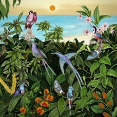 Driving To Cap Negret