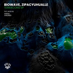 Biowave , Zipacyuhualle - Terracons (Original Mix) |//•PREMIERE•\\|