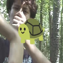 turtle freestyle (@51._op + @undermyhip)