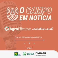 O Campo em Notícia