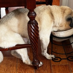 Eighteen - E. Newhuis