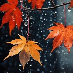 FEUILLE D'VUTOMNE - TYPE BEVT - BVNKS