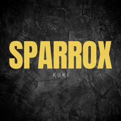 SparroX - Never Mind