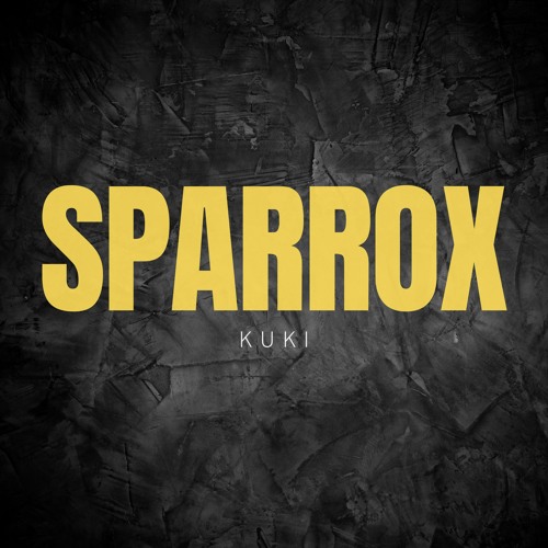 SparroX - Never Mind