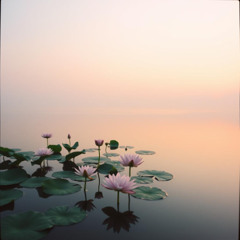 Numbers of healing Dreams