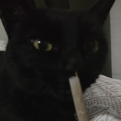 VOU COLOCANDO NO SEU BURAQUINHO (djkojidavl)