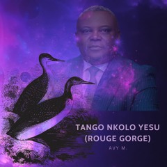 Tango Nkolo Yesu (Rouge Gorge) - Papa Lifoko du Ciel reprise