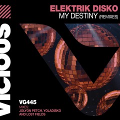 Elektrik Disko - My Destiny (YolaDisko Remix)