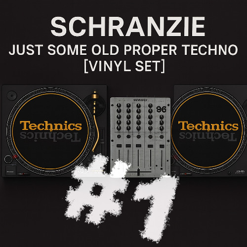 Schranzie - Just Some Old Proper Techno #1 [Vinyl Set]