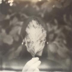 What I Needed To Know