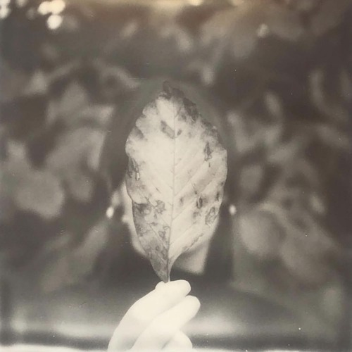 What I Needed To Know