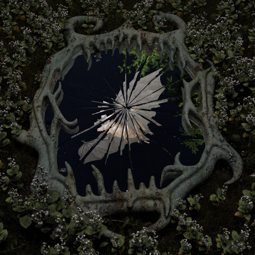 Echolocation