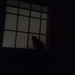 KDGIO X C’ejayFinesse - Timeless