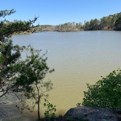 Porch Sittin On Skull Island
