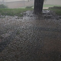The Flood