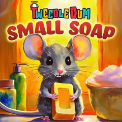 Small Soap