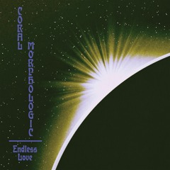 Endless Love - Single Version
