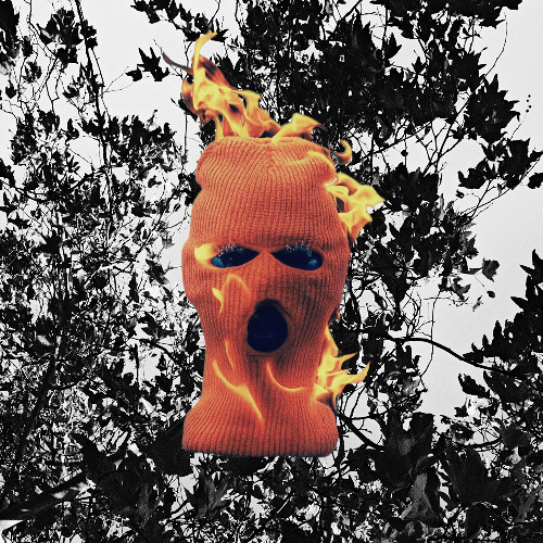 Head Is A Fire