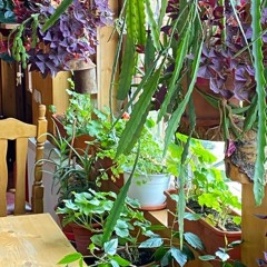 голоси - kuaskio(prod. West)