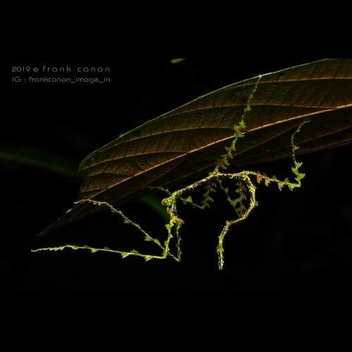 HK_Calm-&-Steady_tracks_289