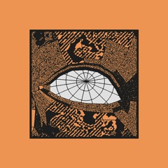 Octo Åeterna - Evolutiva EP [DN011]