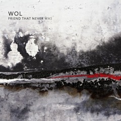 Friend That Never Was