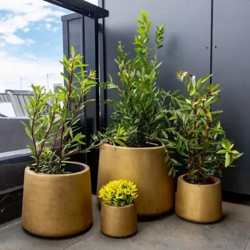 How to Choose the Right Pot for Your Artificial Plant