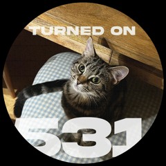 #531: Paula Tape, Bonobo, Nickodemus, Tigerbalm, Clive From Accounts