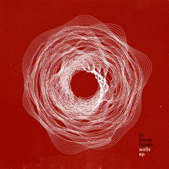 Walls (Frieder Nagel Remix)