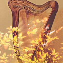 Fields Of Gold - Sting