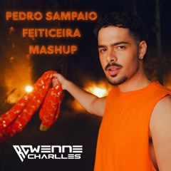 PEDRO SAMPAIO - SEQUÊNCIA FEITICEIRA - Marcio Peron - Mashup Rawenne Charlles -  FREE  DOWNLOAD