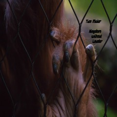 Kingdom Without Leader