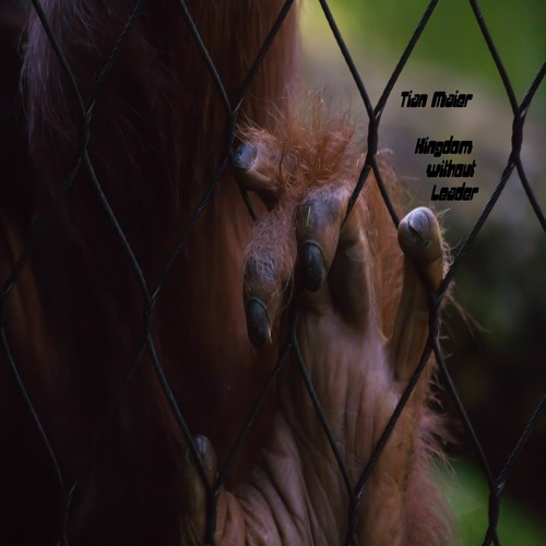 Kingdom Without Leader