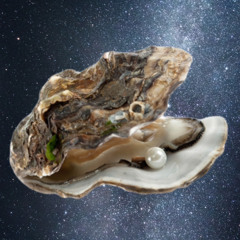 Oysters after midnight